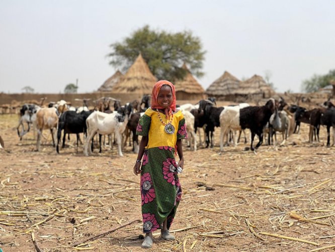 Nous avons sacrifié des animaux et les avons distribués au public dans la province de Mongo, au Tchad, en Afrique.